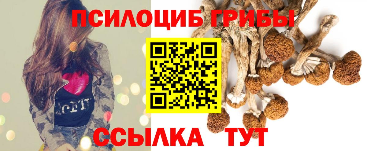 Галлюциногенные грибы MAGIC MUSHROOMS  Вход с VPN  Ноябрьск 