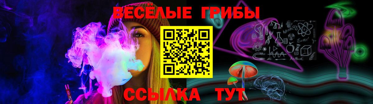 Галлюциногенные грибы Cubensis Ноябрьск